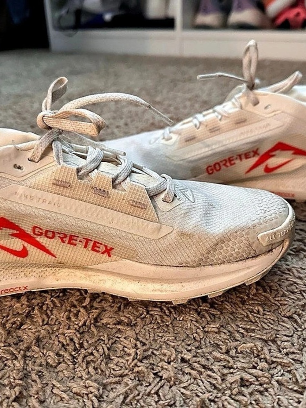 Nike Trail Gore-Tex Athletic Shoes in White